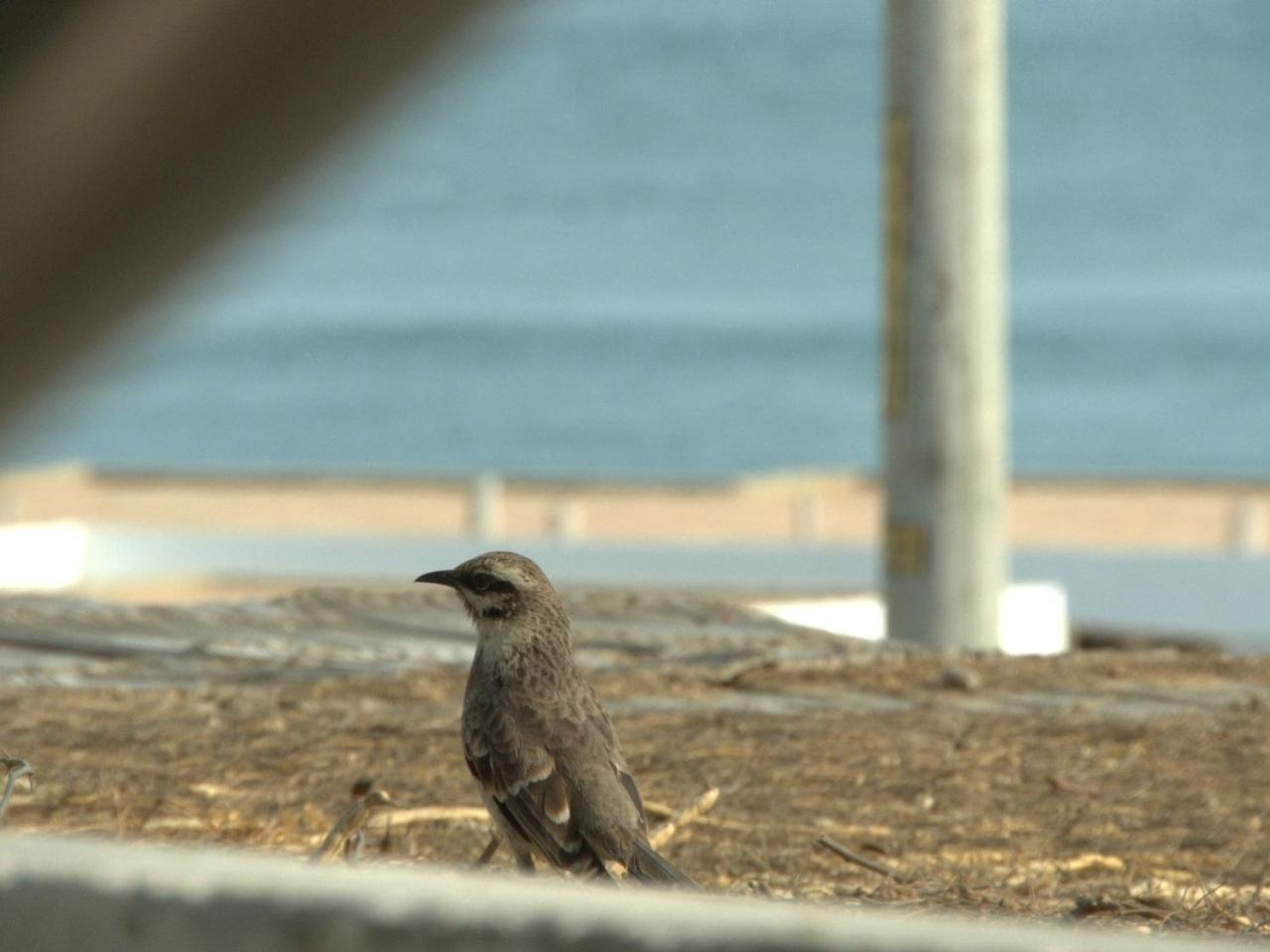 ホテル Wayra ロビトス エクステリア 写真